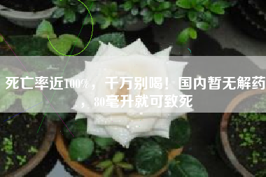 死亡率近100%，千万别喝！国内暂无解药，80毫升就可致死