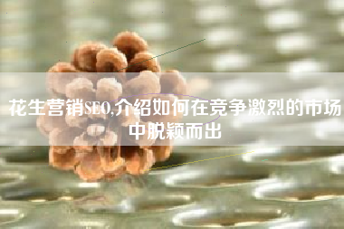 花生营销SEO,介绍如何在竞争激烈的市场中脱颖而出