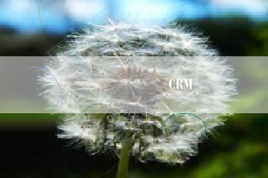 ���ֻ�ʱ���µ�CRMϵͳ�������뷢չ