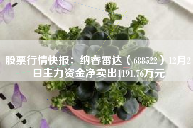 股票行情快报：纳睿雷达（688522）12月2日主力资金净卖出1191.76万元