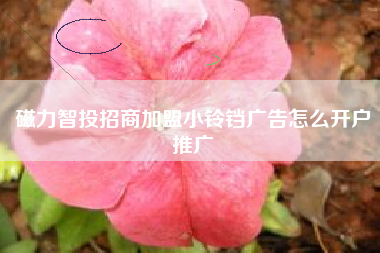 磁力智投招商加盟小铃铛广告怎么开户推广