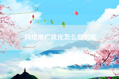 网络推广优化怎么做的呢