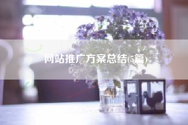 网站推广方案总结(5篇)