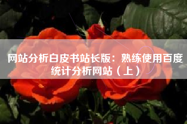 网站分析白皮书站长版：熟练使用百度统计分析网站（上）