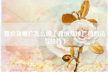 竞价及推广怎么做（竞价及推广的方法与技巧）