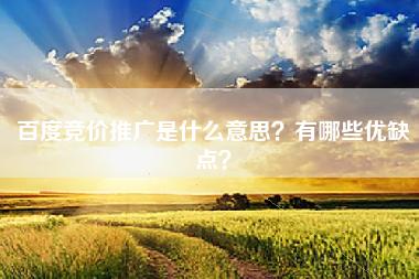 百度竞价推广是什么意思？有哪些优缺点？