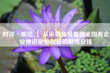 时评·来论 ｜ 从采购角度看健全国有企业推进原始创新的制度安排