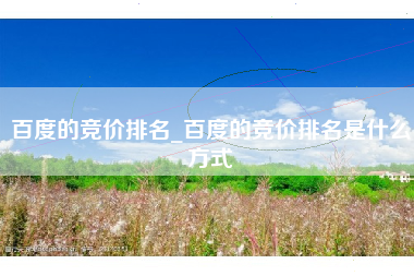 百度的竞价排名_百度的竞价排名是什么方式
