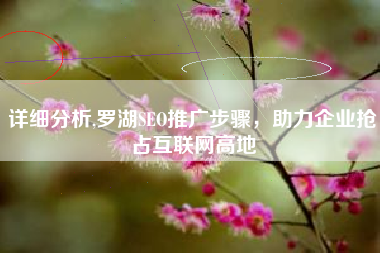 详细分析,罗湖SEO推广步骤，助力企业抢占互联网高地