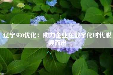 辽宁SEO优化：助力企业在数字化时代脱颖而出