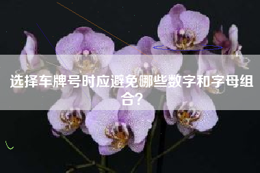 选择车牌号时应避免哪些数字和字母组合？