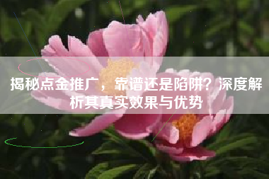 揭秘点金推广，靠谱还是陷阱？深度解析其真实效果与优势