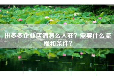 拼多多企业店铺怎么入驻？需要什么流程和条件？