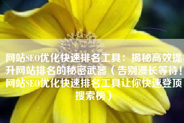 网站SEO优化快速排名工具：揭秘高效提升网站排名的秘密武器（告别漫长等待！网站SEO优化快速排名工具让你快速登顶搜索榜）