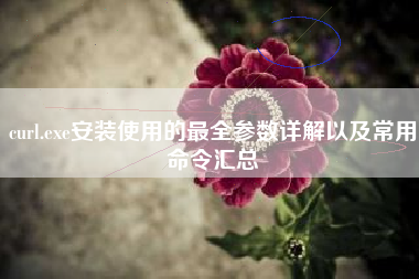 curl.exe安装使用的最全参数详解以及常用命令汇总