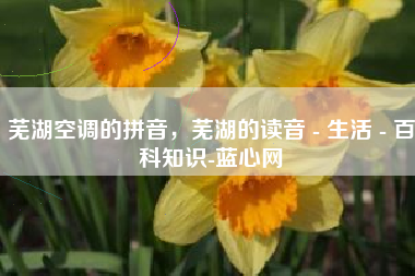 芜湖空调的拼音，芜湖的读音 - 生活 - 百科知识-蓝心网