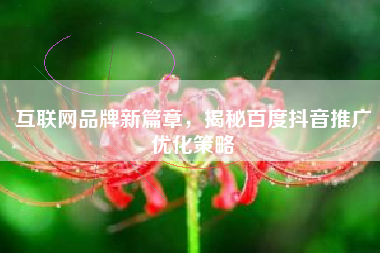互联网品牌新篇章，揭秘百度抖音推广优化策略