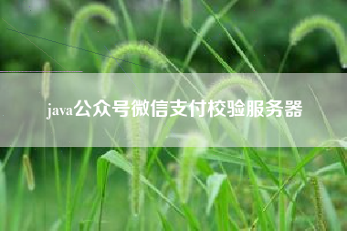 java公众号微信支付校验服务器