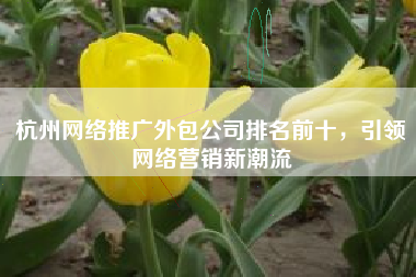 杭州网络推广外包公司排名前十，引领网络营销新潮流