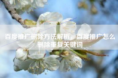 百度推广删除方法解析，百度推广怎么删除重复关键词