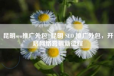 昆明seo推广外包_昆明 SEO 推广外包，开启网络营销新征程