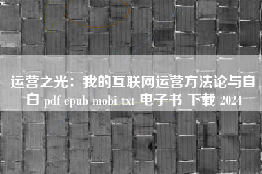 运营之光：我的互联网运营方法论与自白 pdf epub mobi txt 电子书 下载 2024
