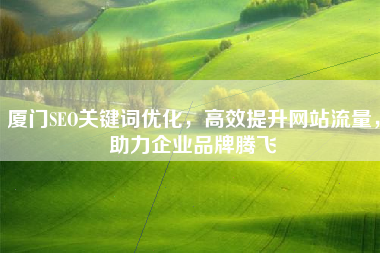 厦门SEO关键词优化，高效提升网站流量，助力企业品牌腾飞