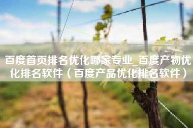 百度首页排名优化哪家专业_百度产物优化排名软件（百度产品优化排名软件）