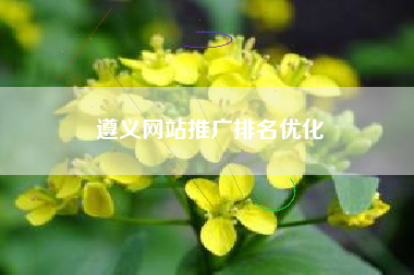 遵义网站推广排名优化