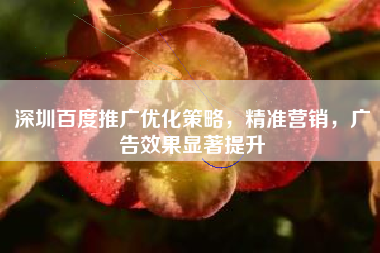 深圳百度推广优化策略，精准营销，广告效果显著提升