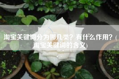 淘宝关键词分为哪几类？有什么作用？(淘宝关键词的含义)