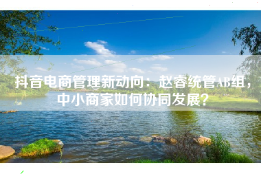 抖音电商管理新动向：赵睿统管AB组，中小商家如何协同发展？