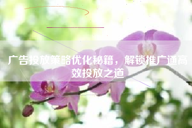 广告投放策略优化秘籍，解锁推广通高效投放之道