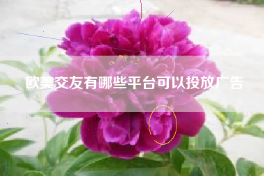 欧美交友有哪些平台可以投放广告