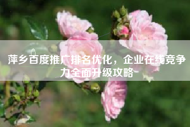 萍乡百度推广排名优化，企业在线竞争力全面升级攻略