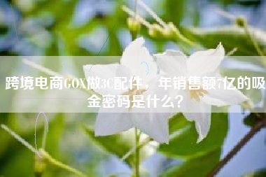 跨境电商GOX做3C配件，年销售额7亿的吸金密码是什么？