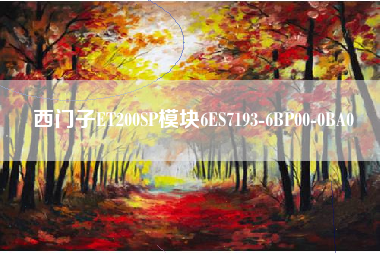 西门子ET200SP模块6ES7193-6BP00-0BA0
