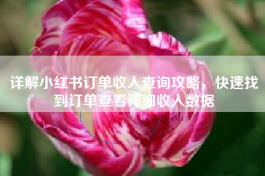 详解小红书订单收入查询攻略，快速找到订单查看详细收入数据