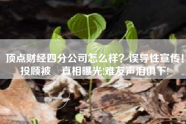 顶点财经四分公司怎么样？误导性宣传！投顾被騗真相曝光!难友声泪俱下!