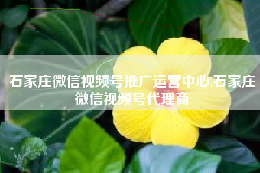 石家庄微信视频号推广运营中心,石家庄微信视频号代理商