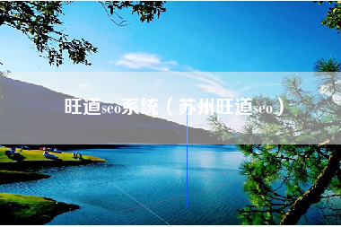 旺道seo系统（苏州旺道seo）
