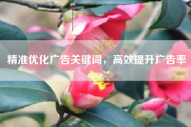 精准优化广告关键词，高效提升广告率