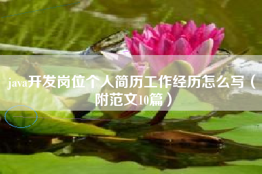 java开发岗位个人简历工作经历怎么写（附范文10篇）