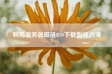 利用服务器磁链RSS下载影视动漫