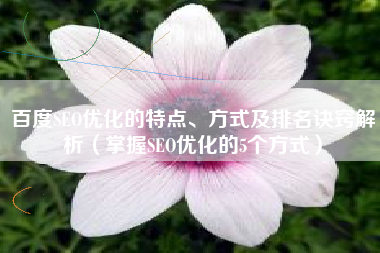 百度SEO优化的特点、方式及排名诀窍解析（掌握SEO优化的5个方式）