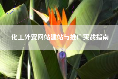 化工外贸网站建站与推广实战指南