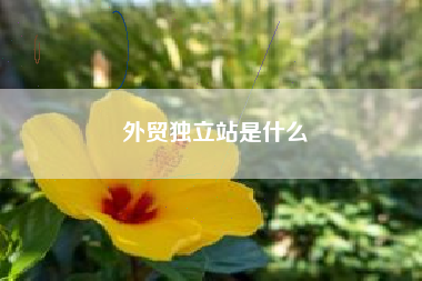 外贸独立站是什么