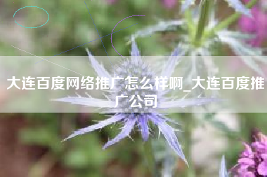 大连百度网络推广怎么样啊_大连百度推广公司