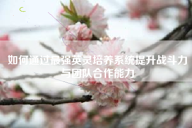如何通过最强英灵培养系统提升战斗力与团队合作能力
