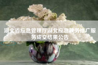 湖北省应急管理厅湖北应急政务推广服务成交结果公告